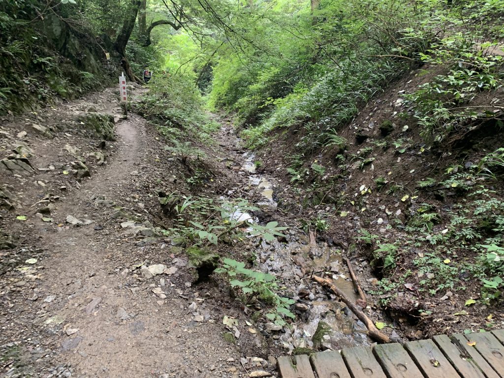 高尾山６号路