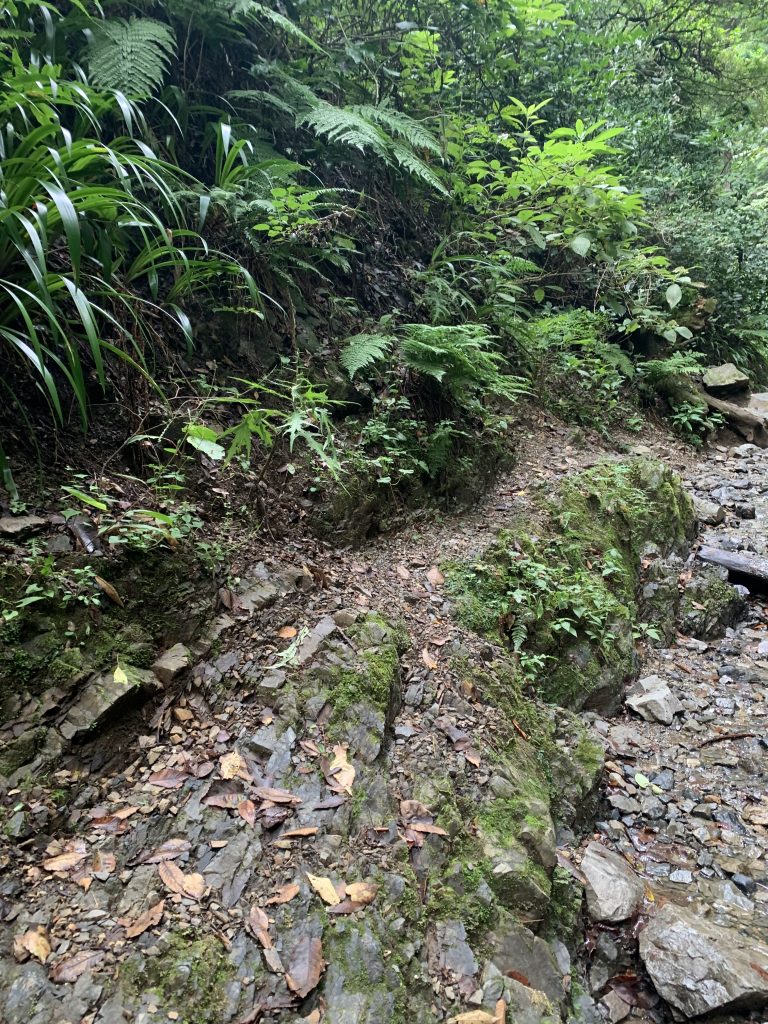 高尾山６号路