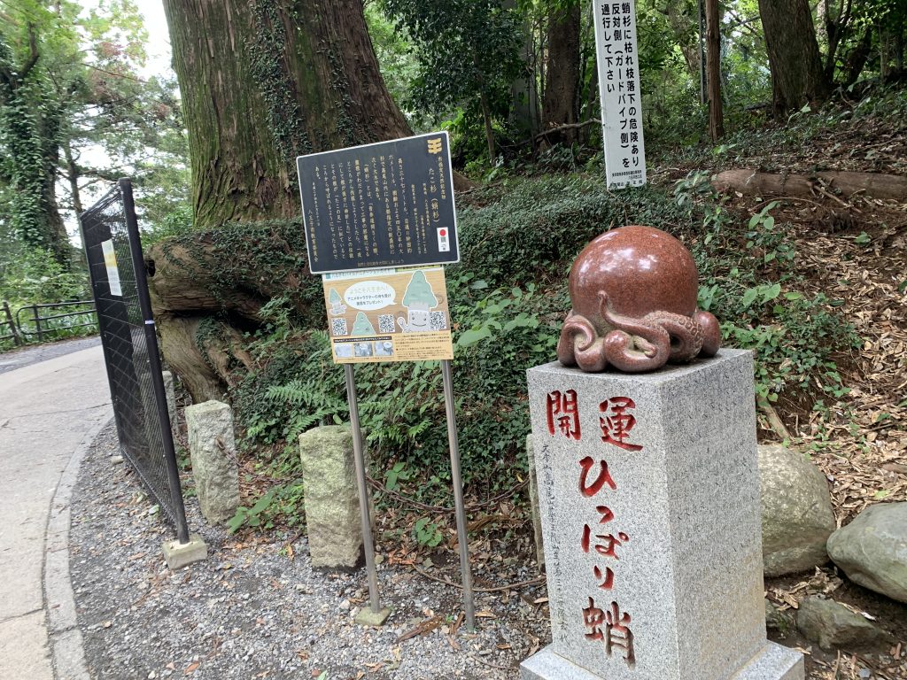 高尾山ひっぱり蛸